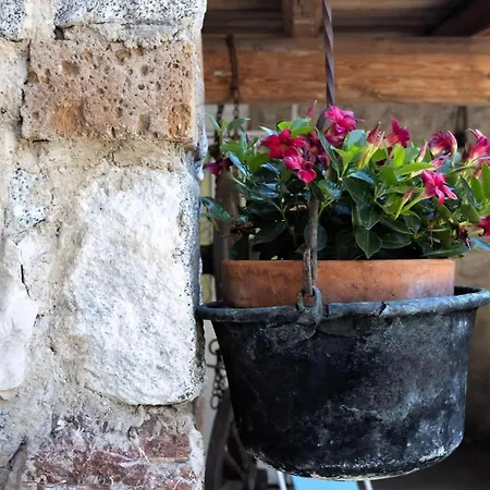 Casa Rita 1 In Vesio